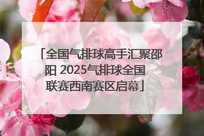 全国气排球高手汇聚邵阳 2025气排球全国联赛西南赛区启幕