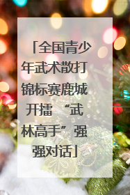 全国青少年武术散打锦标赛鹿城开擂 “武林高手”强强对话