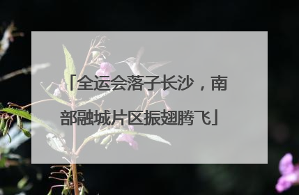 全运会落子长沙，南部融城片区振翅腾飞