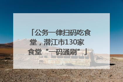 公务一律扫码吃食堂，潜江市130家食堂“一码通刷”