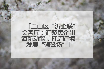 兰山区“沂企联”会客厅：汇聚民企出海新动能，打造跨境发展“强磁场”