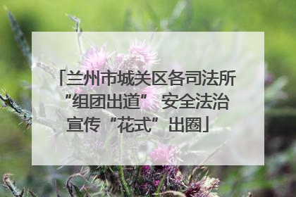 兰州市城关区各司法所“组团出道” 安全法治宣传“花式”出圈