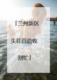 兰州新区头茬苜蓿收割忙