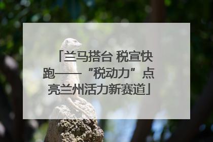 兰马搭台 税宣快跑——“税动力”点亮兰州活力新赛道