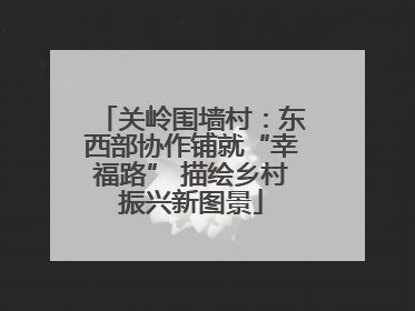 关岭围墙村：东西部协作铺就“幸福路” 描绘乡村振兴新图景