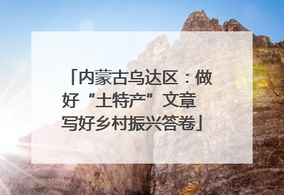 内蒙古乌达区：做好“土特产”文章 写好乡村振兴答卷