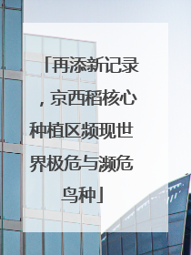 再添新记录，京西稻核心种植区频现世界极危与濒危鸟种