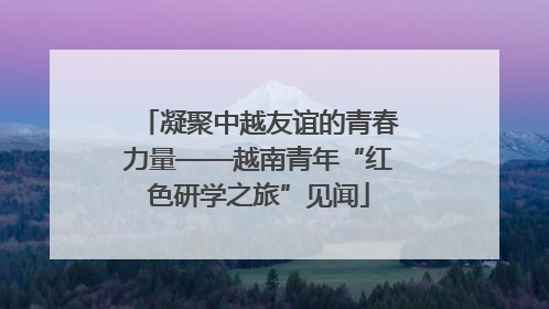 凝聚中越友谊的青春力量——越南青年“红色研学之旅”见闻