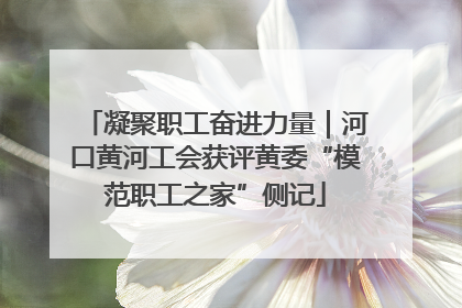 凝聚职工奋进力量｜河口黄河工会获评黄委“模范职工之家”侧记