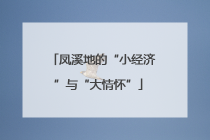 凤溪地的“小经济”与“大情怀”