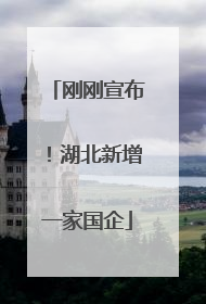 刚刚宣布！湖北新增一家国企