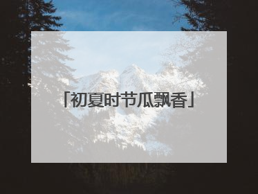 初夏时节瓜飘香