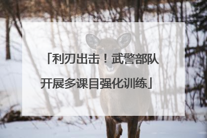 利刃出击！武警部队开展多课目强化训练