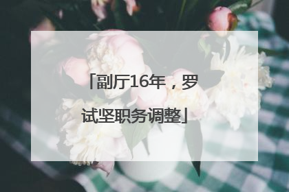 副厅16年，罗试坚职务调整