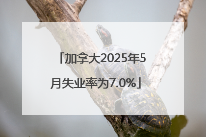 加拿大2025年5月失业率为7.0%