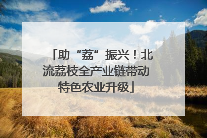 助“荔”振兴！北流荔枝全产业链带动特色农业升级