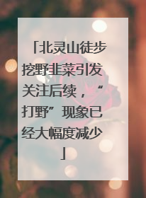 北灵山徒步挖野韭菜引发关注后续，“打野”现象已经大幅度减少