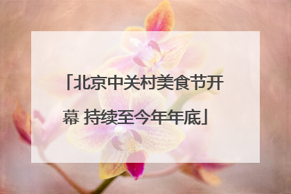 北京中关村美食节开幕 持续至今年年底