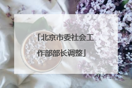 北京市委社会工作部部长调整