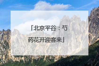 北京平谷：芍药花开迎客来