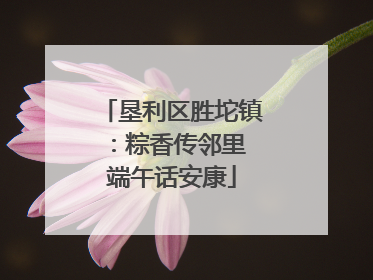 垦利区胜坨镇：粽香传邻里 端午话安康