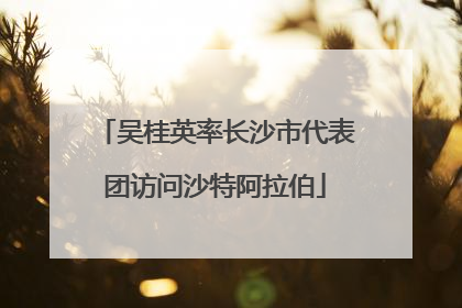 吴桂英率长沙市代表团访问沙特阿拉伯