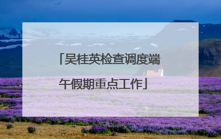 吴桂英检查调度端午假期重点工作