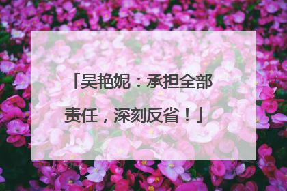 吴艳妮：承担全部责任，深刻反省！