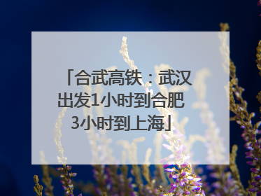 合武高铁：武汉出发1小时到合肥3小时到上海