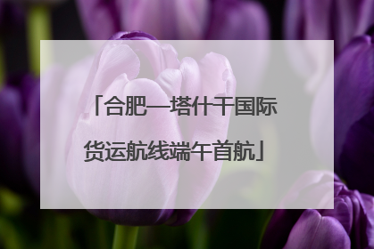 合肥—塔什干国际货运航线端午首航