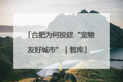 合肥为何投建“宠物友好城市”｜智库
