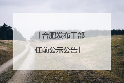 合肥发布干部任前公示公告