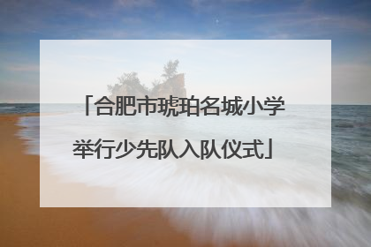 合肥市琥珀名城小学举行少先队入队仪式