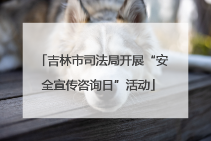 吉林市司法局开展“安全宣传咨询日”活动