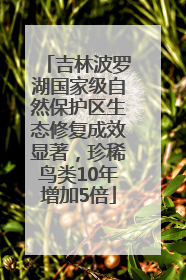 吉林波罗湖国家级自然保护区生态修复成效显著，珍稀鸟类10年增加5倍