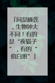 同是睡莲，生物钟大不同！有的是“夜猫子”，有的“值白班”