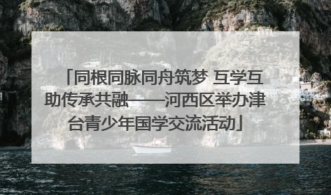 同根同脉同舟筑梦 互学互助传承共融——河西区举办津台青少年国学交流活动