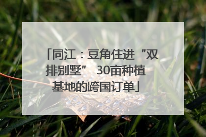 同江：豆角住进“双排别墅” 30亩种植基地的跨国订单