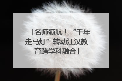 名师领航！“千年走马灯”转动江汉教育跨学科融合