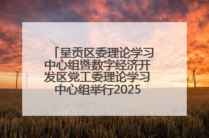 呈贡区委理论学习中心组暨数字经济开发区党工委理论学习中心组举行2025年第七次学习会议