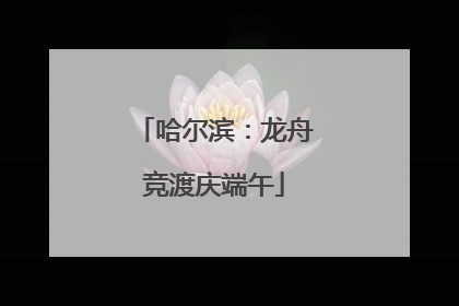 哈尔滨：龙舟竞渡庆端午