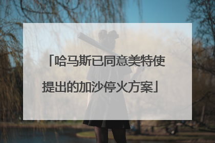 哈马斯已同意美特使提出的加沙停火方案