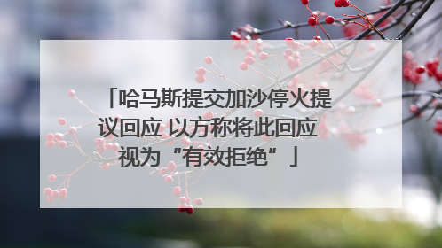 哈马斯提交加沙停火提议回应 以方称将此回应视为“有效拒绝”