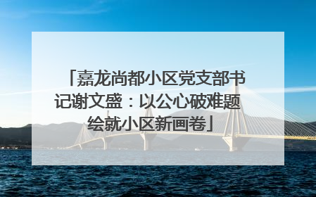 嘉龙尚都小区党支部书记谢文盛：以公心破难题 绘就小区新画卷