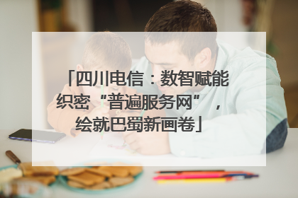四川电信：数智赋能织密“普遍服务网”，绘就巴蜀新画卷