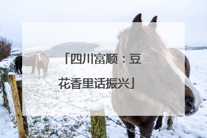 四川富顺：豆花香里话振兴