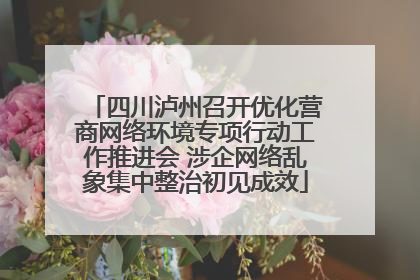四川泸州召开优化营商网络环境专项行动工作推进会 涉企网络乱象集中整治初见成效