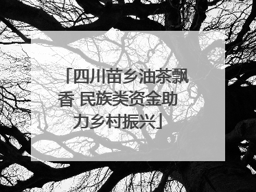 四川苗乡油茶飘香 民族类资金助力乡村振兴