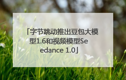 字节跳动推出豆包大模型1.6和视频模型Seedance 1.0