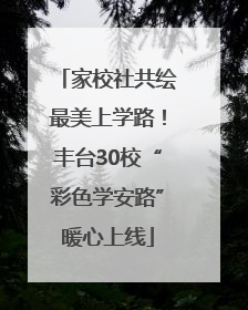 家校社共绘最美上学路！丰台30校“彩色学安路”暖心上线